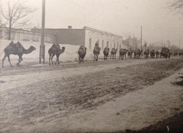 1910 Предпл Ашхабад Караван на Улице