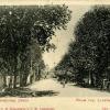 Офицерская улица