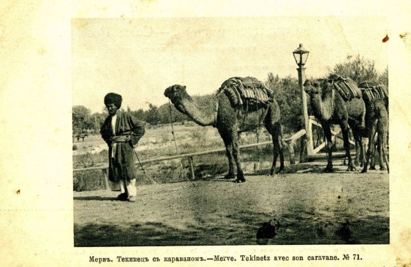 Текинец с караваном