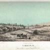 1866 Ташкент Вид со Стороны Минурюкской Рощи Рис Д Велижева
