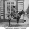 1883 Один из офицеров свиты хана Хивинского верхом на ахалтекинском скакуне