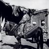 1888 Bukhara Знатный бухарец, Barscevskiy L. S.