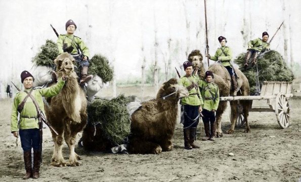 1890 Kazaks