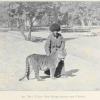 1890 Khiva Tiger