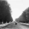 1894 Ташкент Городской Сад