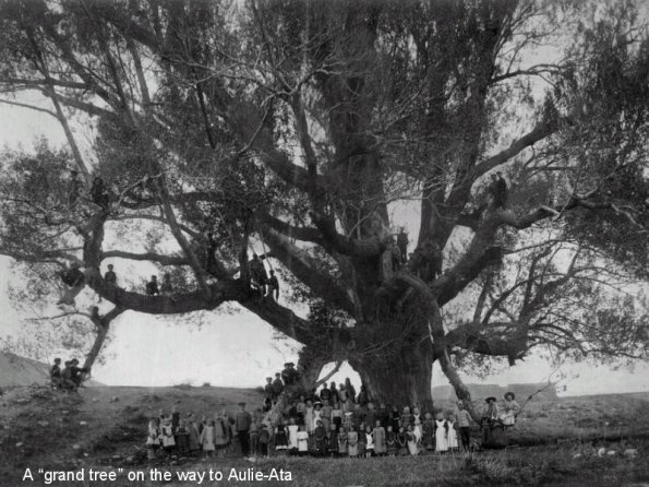 1895 Samarkand German Migrants at Big Tree, Avliye-Ata