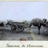1897 Киргизы - Фотографии из Путешествия Члена Французского Географического Общества Поля Лоббе в Туркестан 10