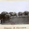 1897 Киргизы - Фотографии из Путешествия Члена Французского Географического Общества Поля Лоббе в Туркестан 13