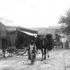 1898-1920 Бухара Ворота Кавола (Рангрез, Каршинские) 5