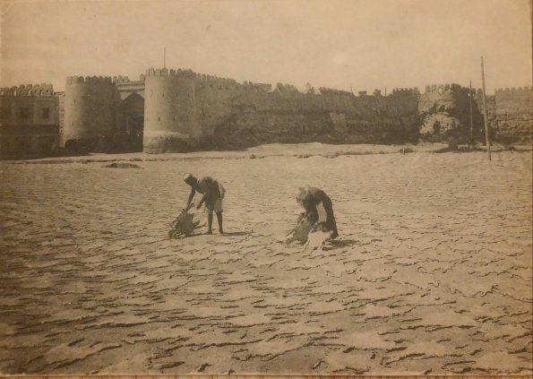 1900 Дата Неточная Бухара Сушка Каракуля