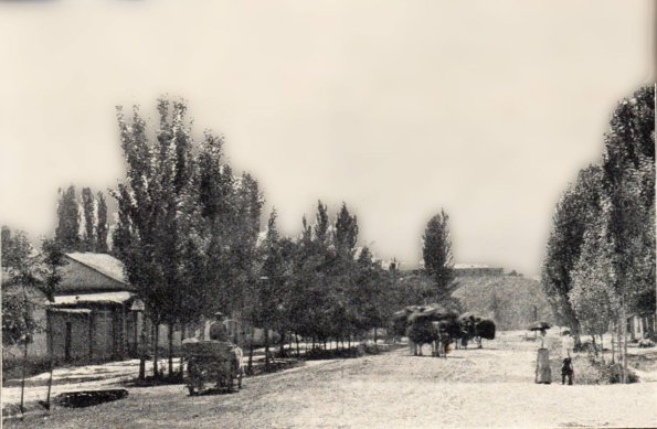 1900 Предпл Чимкент 5