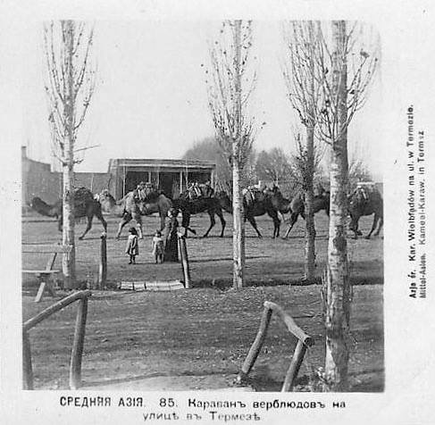 1900 Термез 12