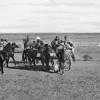 1900 Buzkashy 11