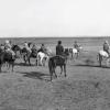 1900 Buzkashy 14