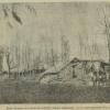 1902 Андижан Землетрясение 3 Декабря Почтово-Телеграфная Контора