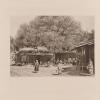 1902 A travers le Turkestan russe 7