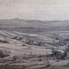 1910 Каракум Верблюды