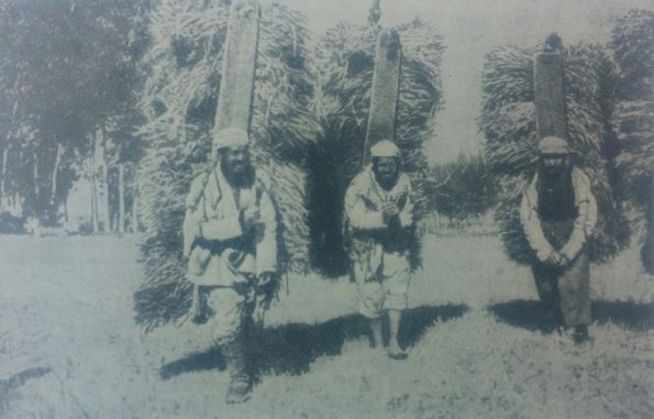 1910 Предпл  Ишкашим Таджики Переносят Стога Пшеницы