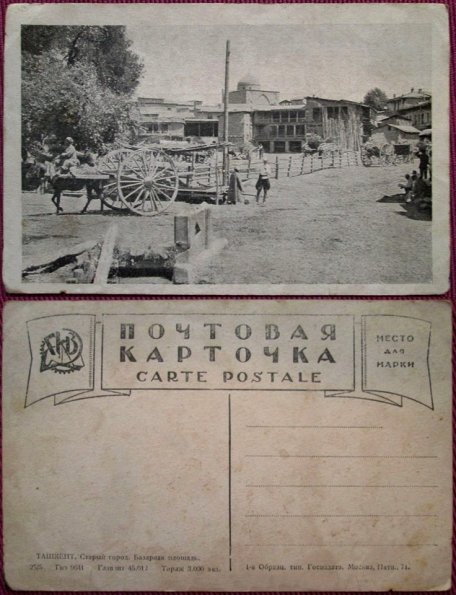 1910 Предпл  Ташкент Аллея Карагачай Кауфманская