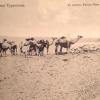 1910 Предпл Кызылкум Верблюды на Водопое у Колодца