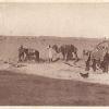 1910 Предпл Туркменистан Араба у Дувала