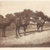 1910 Предпл Туркменистан Караван