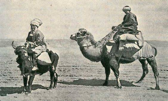1910 Kazakh Woman on Bull and Man on Camel