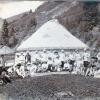 1910 Kyrgyz Russians and Kyrgyzs