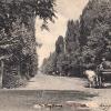 1910 Tashkent Kaufmann Ave