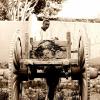 1910 Tashkent