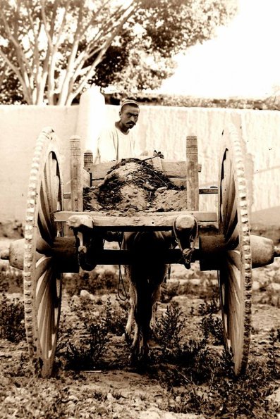 1910 Tashkent