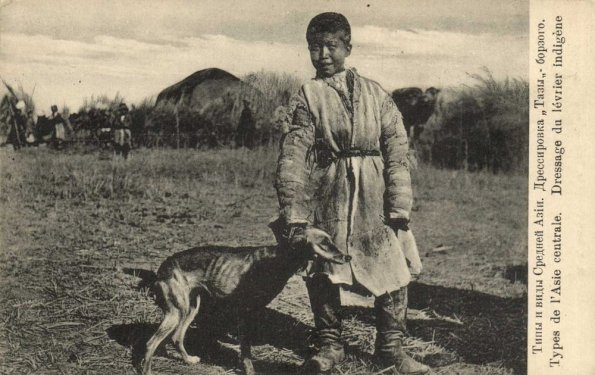 1910 Tazy Training