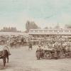 1910 Turkestan Somewhere