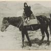 1916 Семипалатинск  Автор Rydberg, Nils Erik - Horseman