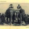 1920 Предпл Слоны Эмира Бухарского
