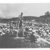 1920 Советизация Восточной Бухары
