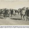 1924 Вавилов Николай Иванович Экспедиция института опытной агрономии  Белуджистан 1