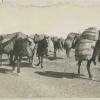1924 Afghanistan Karavans in Beluchistan