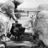 1925 Каршинская Область Вода из Колодца