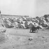 1925 Кладбище у ворот Мазарских (Мазари-Шариф) в Бухаре 2
