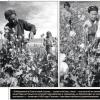 1925 Opium Fields and Gosplan Note