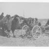 1928 Казакстан Караван Разведочной Партии М. П. Русакова в районе Коунрада