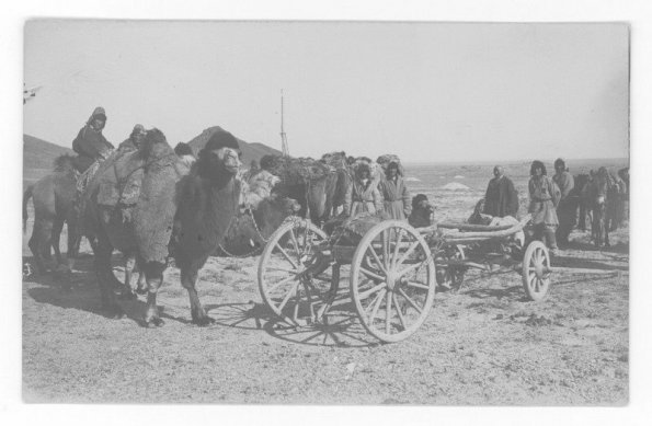 1928 Казакстан Караван Разведочной Партии М. П. Русакова в районе Коунрада