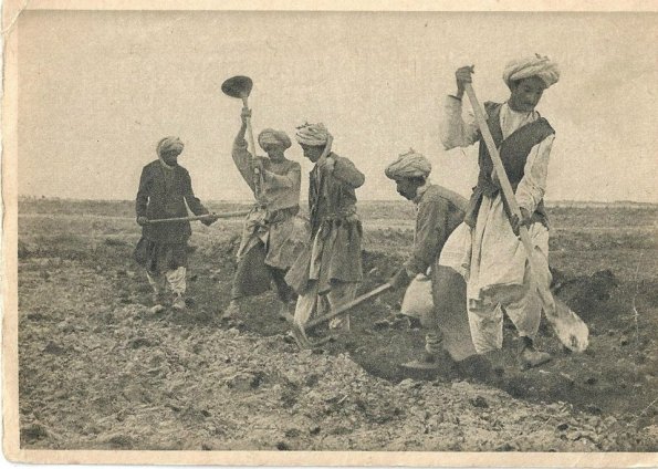 1930 Мары Мургап Колхоз Парахат
