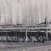 1930 Предпл Чайхана в Средней Азии 11