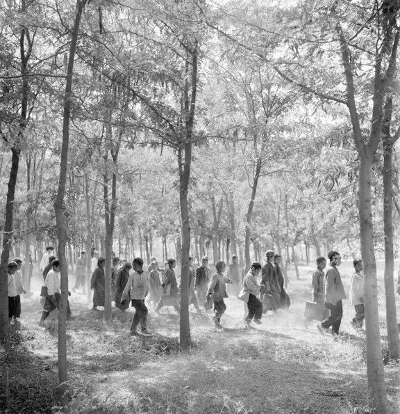 1930 Средняя Азия В Школу Через Лес