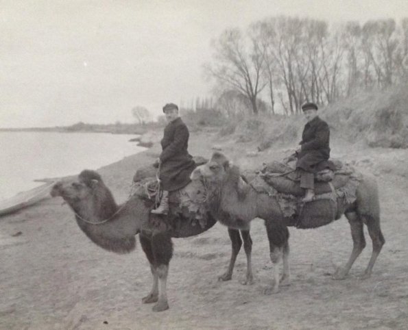 1930 Dromaders