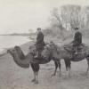 1930-Dromaders