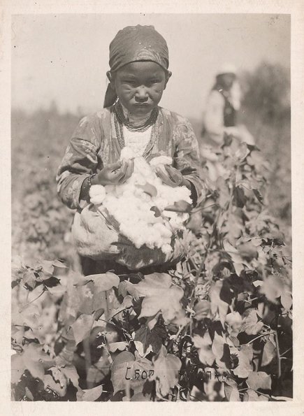 1932 Среняя Азия Сбор Хлопка Дети