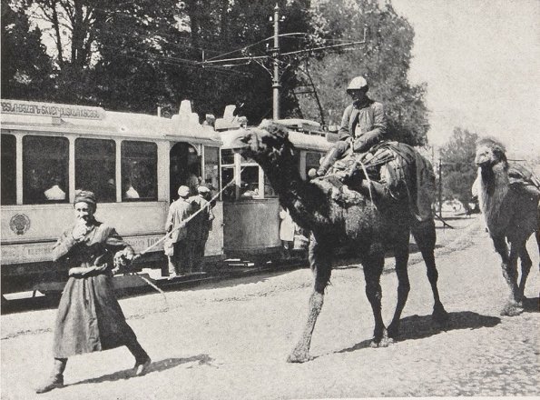 1935 Предпл Ташкент Верблюды и Трамвай